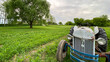 © Kurt - old farm tractor in green field tilling equipment