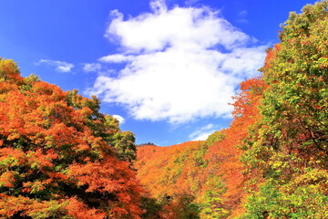 紅葉の二口峡谷