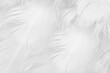 canvas print picture - Beautiful white feather wooly pattern texture background