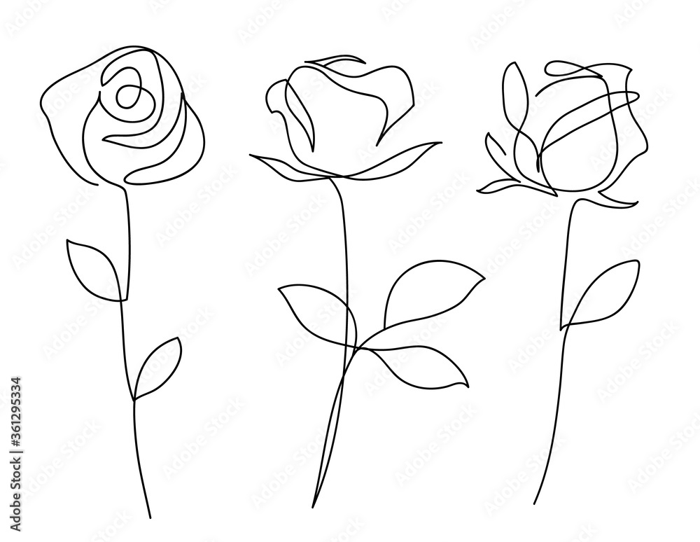 One line drawing. Garden rose with leaves. Hand drawn sketch. Vector illustration. - obrazy, fototapety, plakaty 