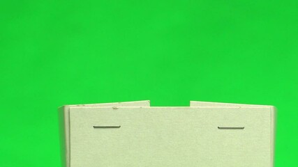 Sticker - Syrian hamster in a box on a green screen