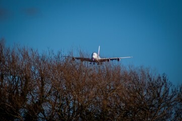 Sticker - Airplane flying low above the dried trees