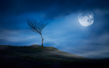 A Halloween Spooky Lone Bare Branch Tree In An Isolated Moors Landscape At Night With A Full Moon And Clouds In A Blue Winter Night Sky.