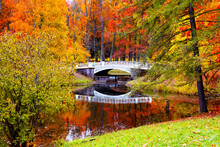 Autumn Landscape, Beautiful City Park With White Bridge And Fallen Yellow Leaves. Autumn Scenery With Lake In Colorful Forest.