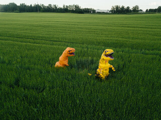 Two yellow and orange dinosaur dino tyrannosaurus running biting each other and having fun in green field. Shot from air. aerial shot. Dinosaur playing small guitar