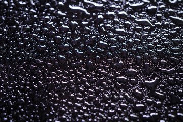 Wall Mural - water drops on dvd media, water drops on colorful background