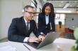 © Flamingo Images - Two smiling businesspeople working on a laptop in an office