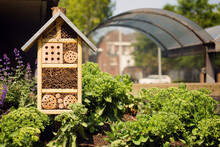 Bee And Insect Hotel In A City Enviroment.