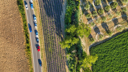 Wall Mural - Lavender meadows in open countryside. Amazing aerial view in summer season