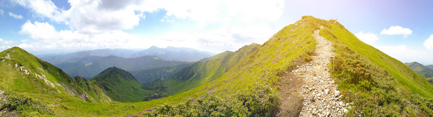 Panoramic picture with the Carpathian mountains and the road. Ukraine.