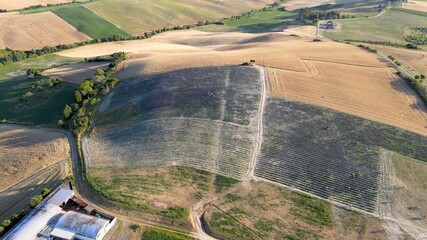 Wall Mural - Lavender meadows in open countryside. Amazing aerial view in summer season