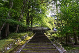 Fototapeta Mosty linowy / wiszący - 玉雲寺 -明智光秀が再興した寺院-