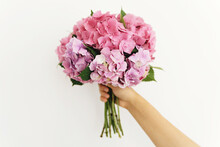 Hydrangea Bouquet In Woman Hand On Background Of White Wall. Hand Holding Pink And Purple Hydrangea Flowers. Happy Mothers Day Or Womens Day. Wedding Floristics