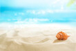 Small red shell in the sand. View of the sunny tropical beach. Summer day. 