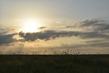 Wall Mural - Rural Sunset