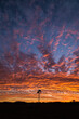 © Brent Randall - silhouette of a windmill