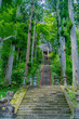 © 剛 永山 - 森, 橋, パス, 自然, 木