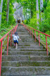 © 剛 永山 - 橋, 自然, 森, パス, 公園