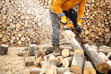 Chainsaw in action cutting wood. Man cutting wood with saw, dust and movements. Chainsaw. Close-up of woodcutter sawing chain saw in motion, sawdust fly to sides.