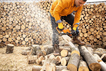 Wall Mural - Chainsaw in action cutting wood. Man cutting wood with saw, dust and movements. Chainsaw. Close-up of woodcutter sawing chain saw in motion, sawdust fly to sides.