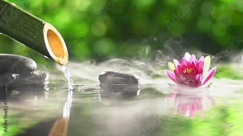 Fotografie, Obraz Bamboo fountain and spa stones