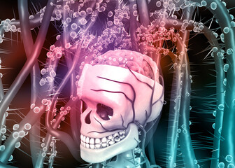 Poster - Human head and brain on abstract background. 3d illustration.