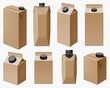 © studioworkstock - Craft dairy pack. Brown milk box and juice cardboard bottle packaging isolated. Drink package set for liquid product. Blank paper pack
