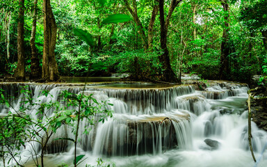 waterfall in the forest