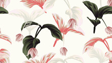Seamless Pattern, Medinilla Magnifica Flowers With Leaves On Light Grey Background, Green, Red And White Tones