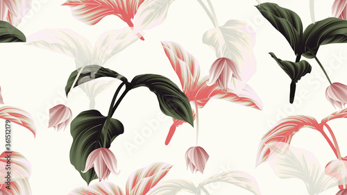 Seamless pattern, Medinilla magnifica flowers with leaves on light grey backg...