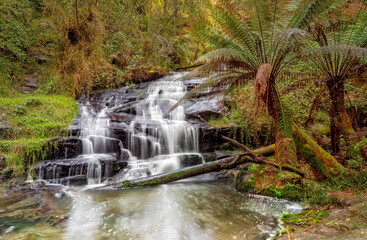  Cora Lynn Cascades waterfall, Lorne, Great Ocean Road