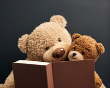 Two Brown Teddy Bears Are Sitting With A Book On A Black Background