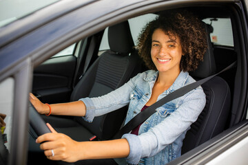 Wall Mural - woman in car