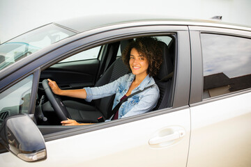 Wall Mural - woman in car