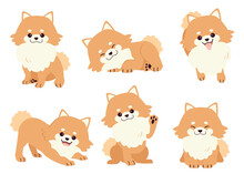 The Collection Of Pomeranian Dog In Many Action. Graphic Resource About Set Of Dogs Pomeranian For Graphic, Content, Etc. 