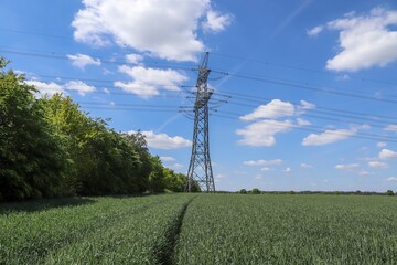 Wall Mural - Transmission tower in the green field under the cloudy sky