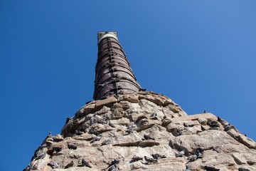 Canvas Print - Low angle shot of the Column of Constantine Porphyrogenitus in Sultanahmet