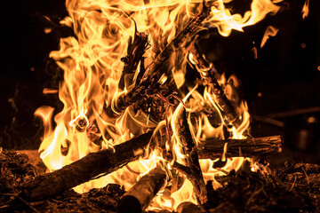 Night bonfire close-up. Fire on a black background. 