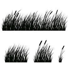 Set Of Hand-drawn Beach Grass. Vector Silhouettes Isolated On White.