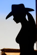 Silhouette of a cowgirl
