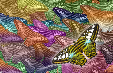  beautiful background with lot of different butterflys