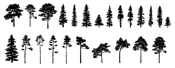 set of tree silhouettes of different types and shapes isolated on white background. illustration.