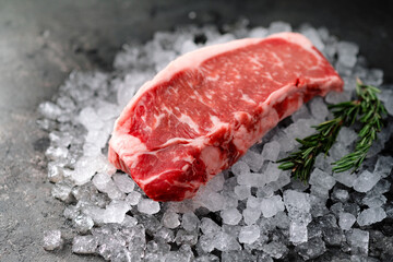 Canvas Print - Raw fresh New York beef steak on ice with herbs and rosemary, close up