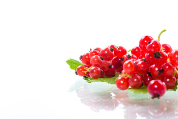 Wall Mural - ripe summer berry red currant isolated on white