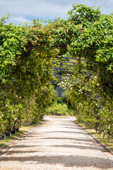 Wall Mural - Une arche de fleurs