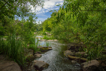 Wall Mural - beautiful tropic nature landscape photography of rocky river stream in green trees foliage outdoor frame colorful environment space in national park