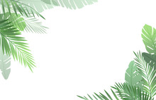 Palm Leaves Vector Background. 
Leaf Pattern Design.