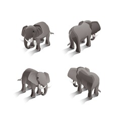 Poster - Isometric elephants