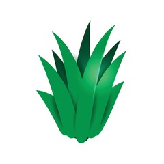 Canvas Print - Isometric aloe vera plant