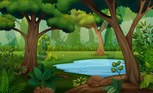 Forest Scene With Trees And Pond Illustration